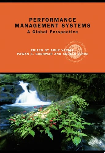 Performance Management Systems A Global Perspective