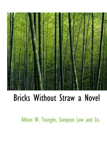 Bricks Without Straw a Novel