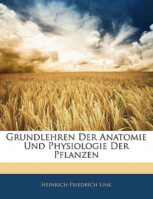 Grundlehren Der Anatomie Und Physiologie Der Pflanzen (German Edition)