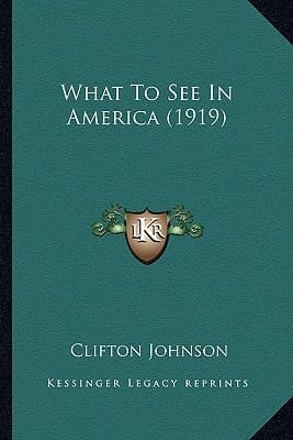What To See In America (1919)