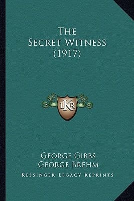 The Secret Witness (1917)