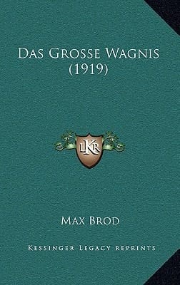Das Grosse Wagnis (1919) (German Edition)