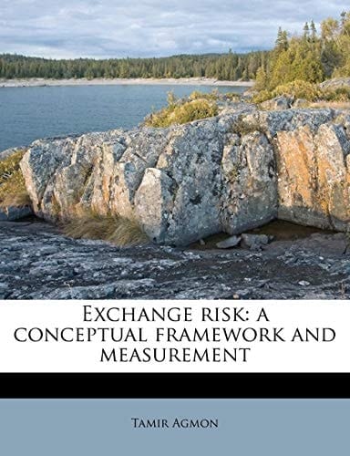 Exchange risk: a conceptual framework and measurement