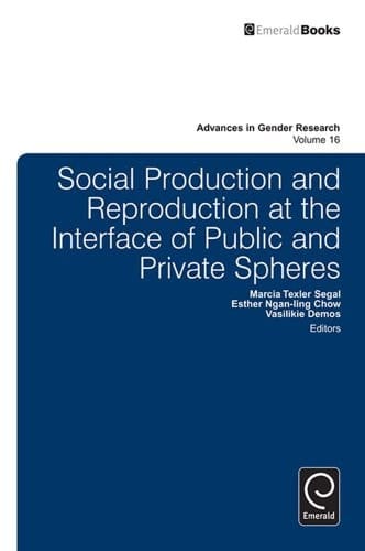 Social Production and Reproduction at the Interface of Public and Private Spheres (Advances in Gender Research Book 16)