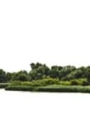 The Rhine Cruise