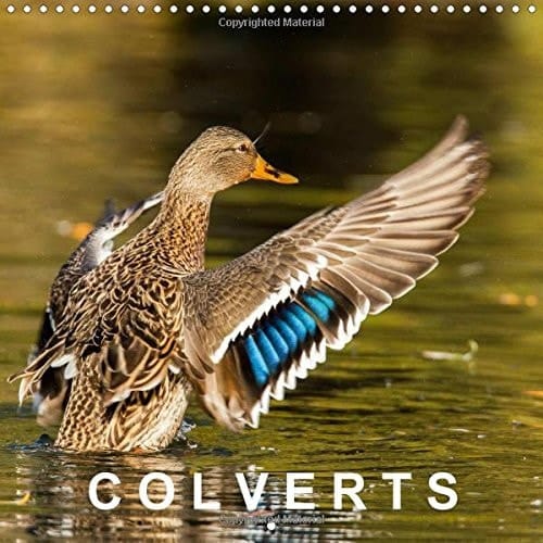 Colverts Calendrier mural 2016
