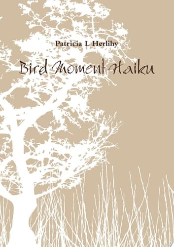 Bird Moment Haiku