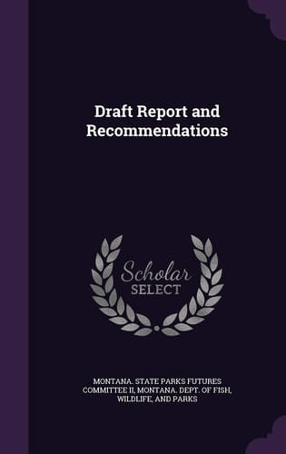 Draft Report and Recommendations