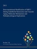 Post-Translational Modification of Sirt1 During Endothelial Senescence and Vascular Aging Molecular Mechanisms and Pathophysiological Implications