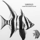 Submerged