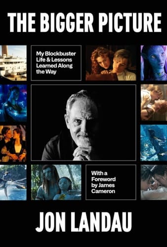 The Bigger Picture My Blockbuster Life and Lessons Learned Along the Way