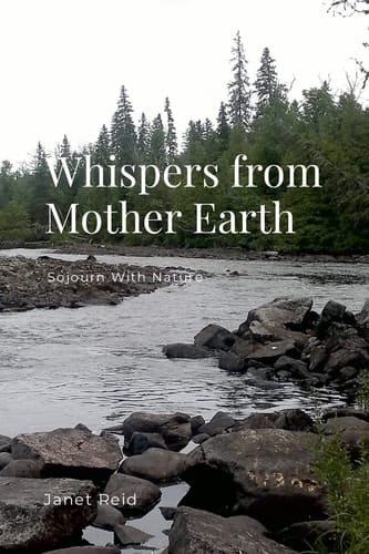 Whispers from Mother Earth Sojourn With Nature