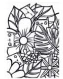 Lisa's Cats Colouring Book