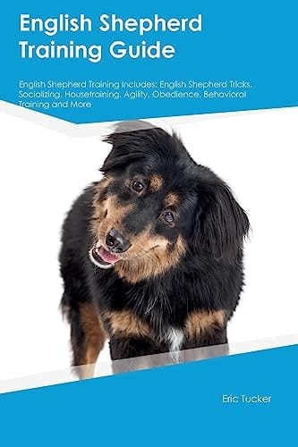 English Shepherd Training Guide English Shepherd Training Includes English Shepherd Tricks, Socializing, Housetraining, Agility, Obedience, Behavioral Training, and More
