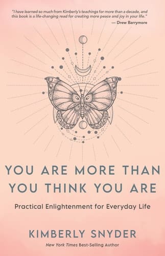 You Are More Than You Think You Are Practical Enlightenment for Everyday Life