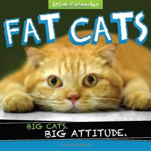 2014 Fat Cats wall calendar