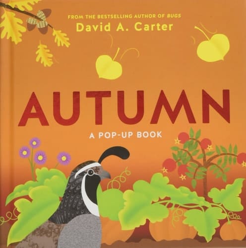 Autumn A Pop-Up Book