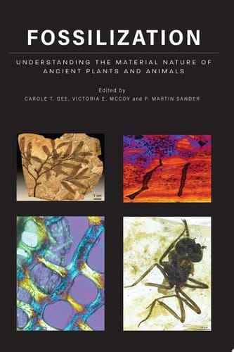 Fossilization Understanding the Material Nature of Ancient Plants and Animals