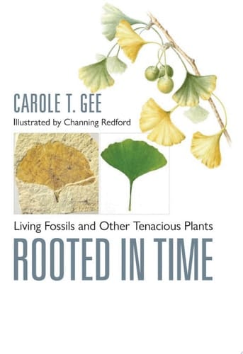 Rooted in Time Living Fossils and Other Tenacious Plants