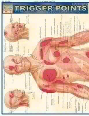 Trigger Points
            
                Quickstudy Academic