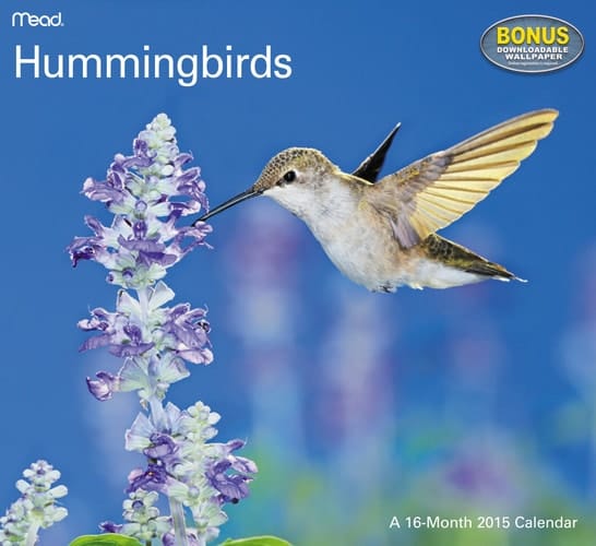 Hummingbirds Wall Calendar (2015)