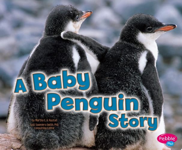 A Baby Penguin Story