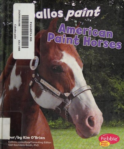 Caballos paint =