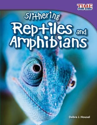 Slithering Reptiles And Amphibians