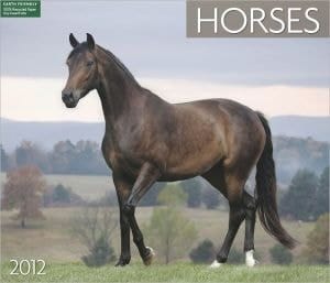 2012 Horses Wall Calendar