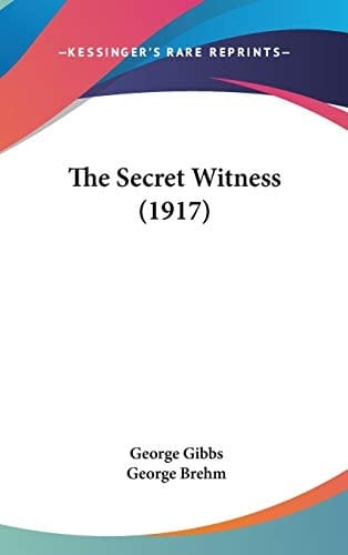 The Secret Witness (1917)