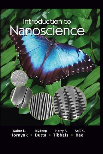 Introduction to Nanoscience