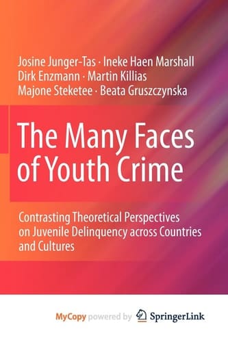 The many faces of youth crime