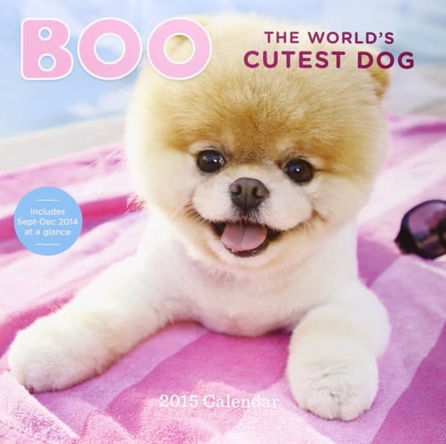 Boo The World's Cutest Dog 2015 Calendar