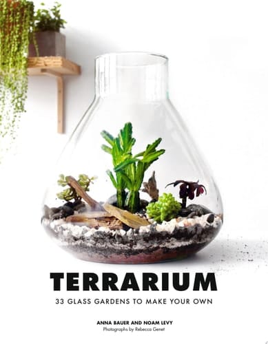 Terrarium