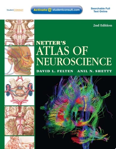 Netter's Atlas of Neuroscience E-Book Netter's Atlas of Neuroscience E-Book