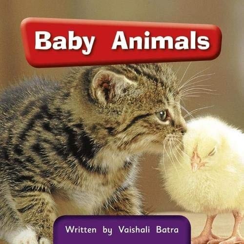 Baby Animals