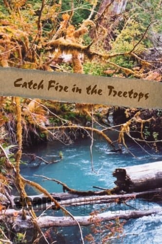 Catch Fire in the Treetops
