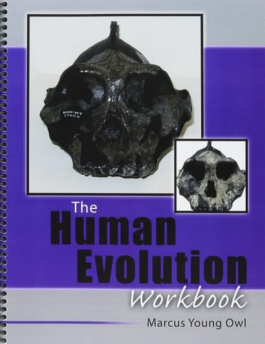 The Human Evolution Workbook