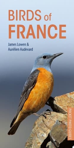 Birds of France