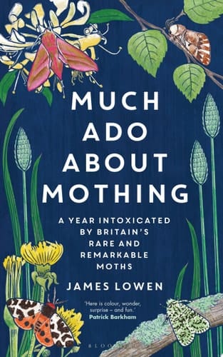 Much Ado About Mothing