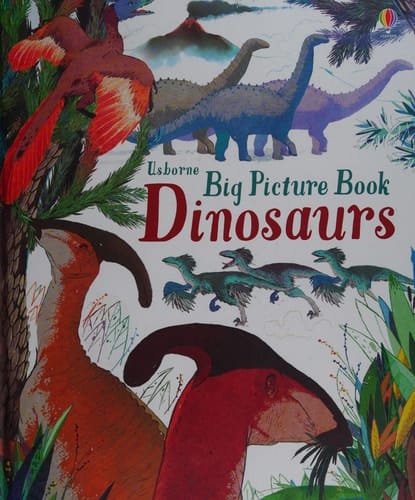 Big Picture Book Dinosaurs