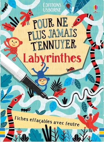 Labyrinthes Fiches effaçables avec feutre