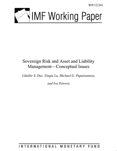 Sovereign Risk and Asset and Liability Management Conceptual Issues
