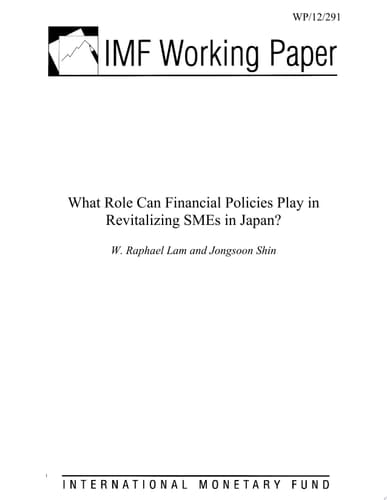 What Role Can Financial Policies Play in Revitalizing SMEs in Japan?