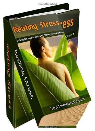 Beating Stress: Principles and Practice of Stress Management