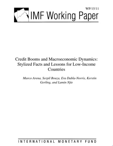Credit Booms and Macroeconomic Dynamics Stylized Facts and Lessons for Low-Income Countries
