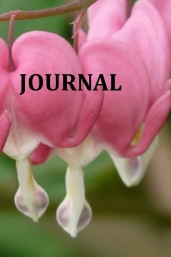 Journal
