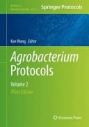 Agrobacterium Protocols Volume 2