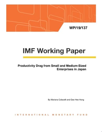 Productivity Drag from Small and Medium-Sized Enterprises in Japan