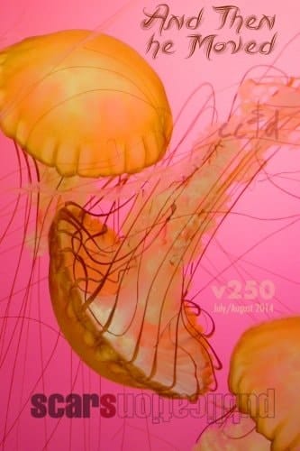 And Then He Moved Cc&d Magazine 250 (the July/August 2014 Issue)